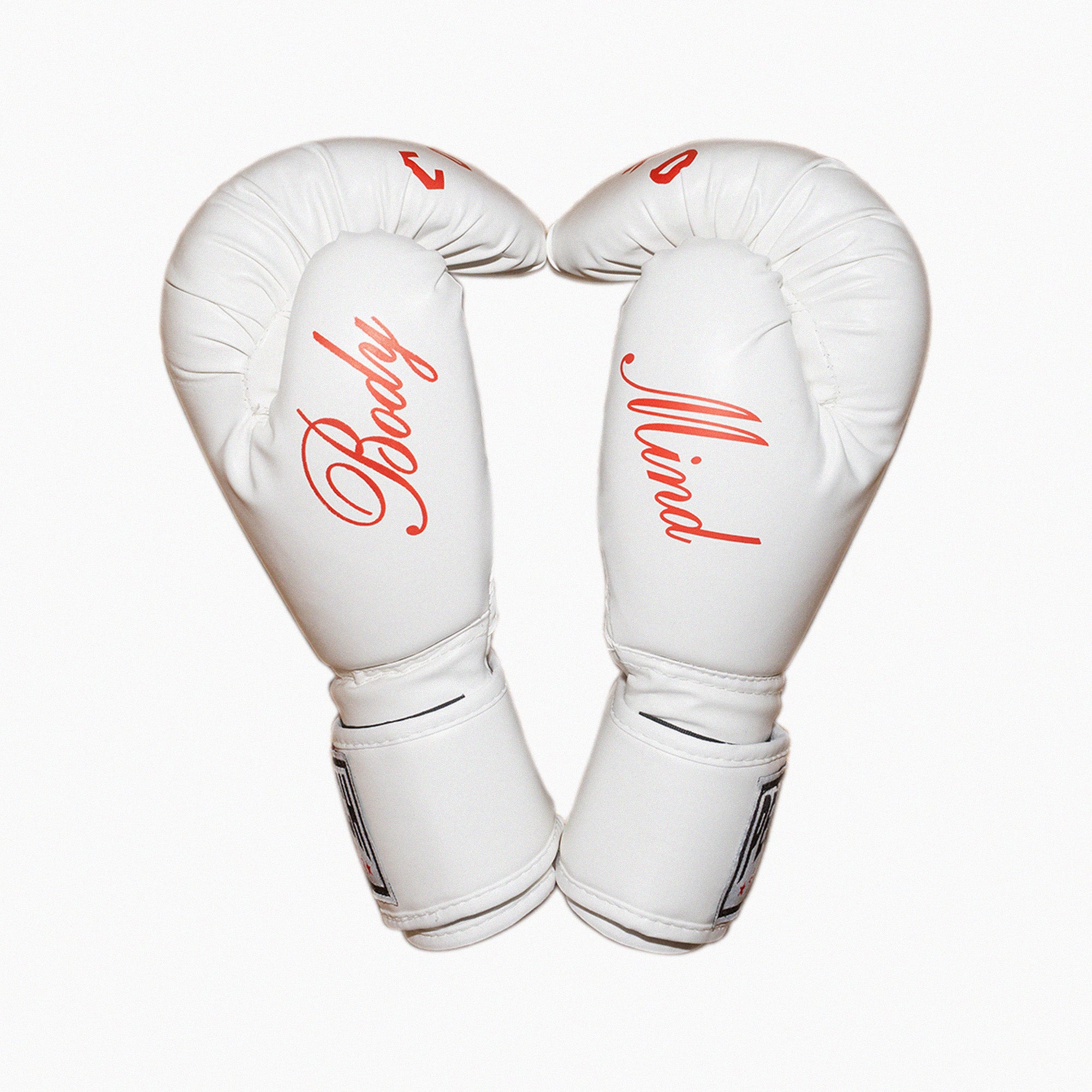 Hardcore Boxing gloves