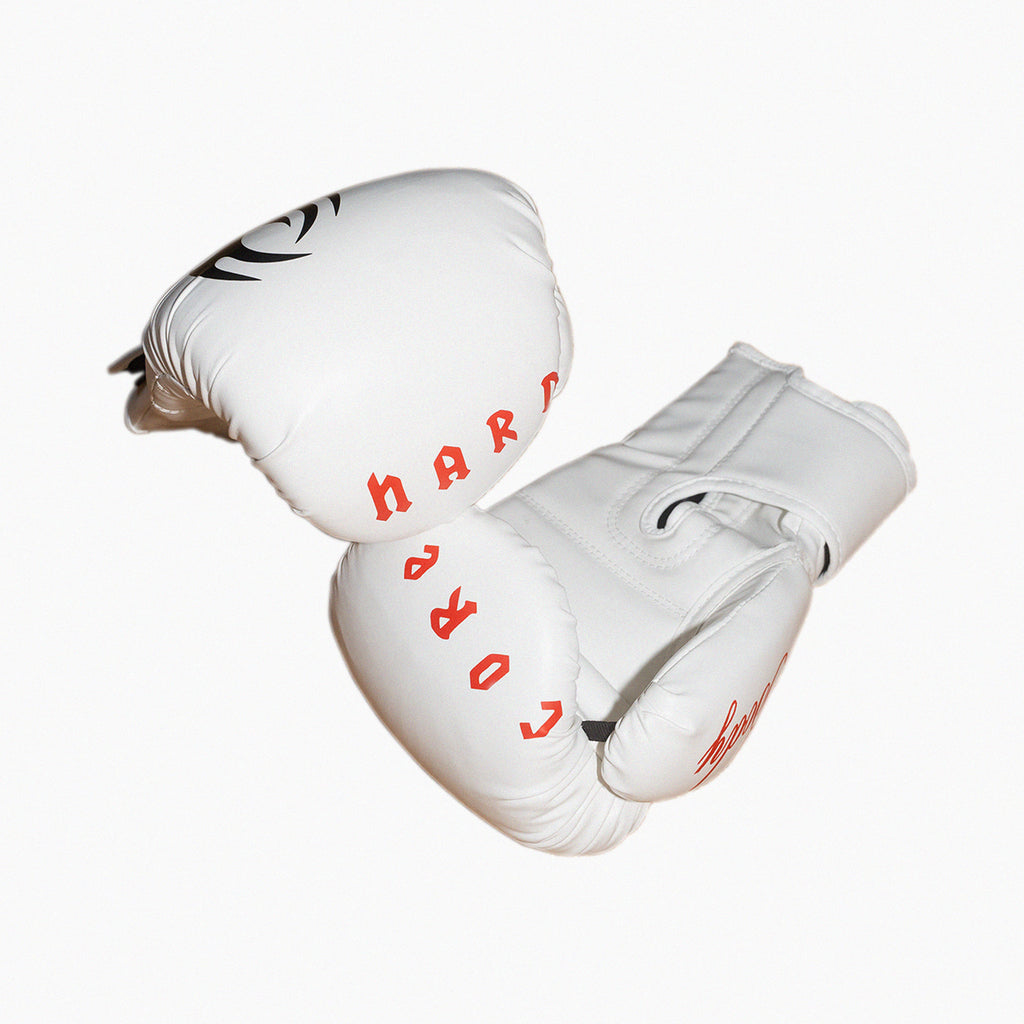 Hardcore Boxing gloves